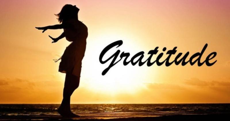La puissance de la Gratitude: Une le&ccedil;on de vie
